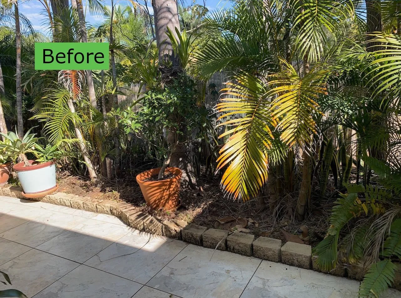 Palm Garden Before After 1.jpg