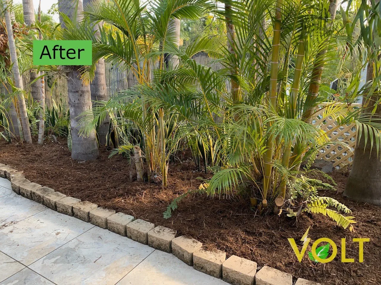 Palm Garden Before After 2.jpg