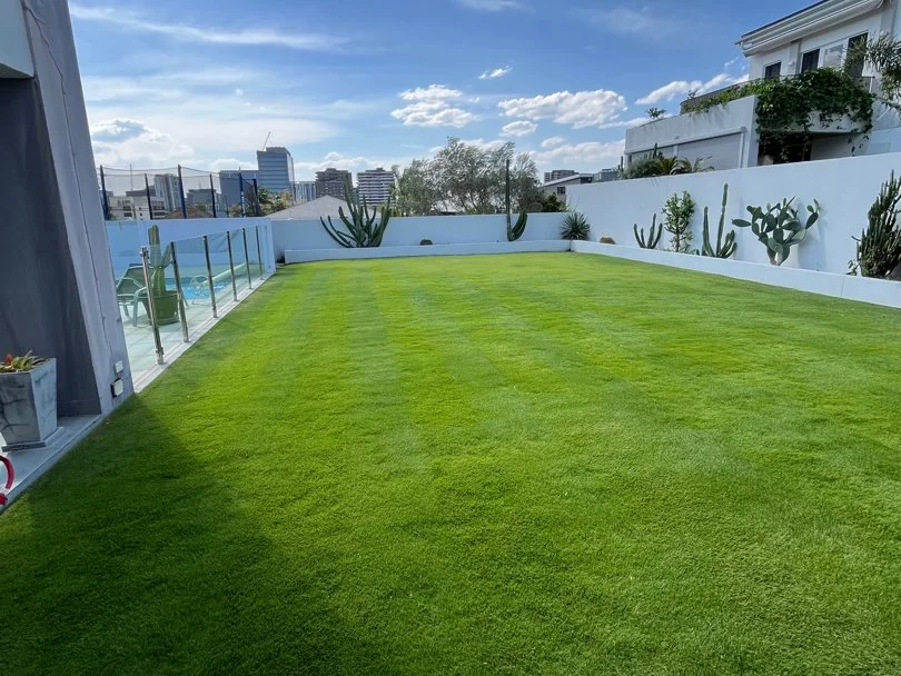 Newstead - Newstead is home to Newstead House, the oldest surviving residence in Brisbane.