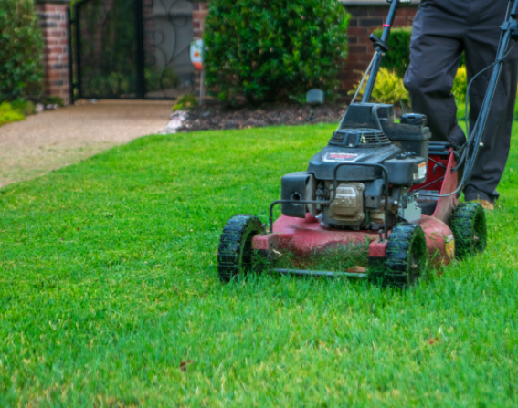 The Grass Grapplers