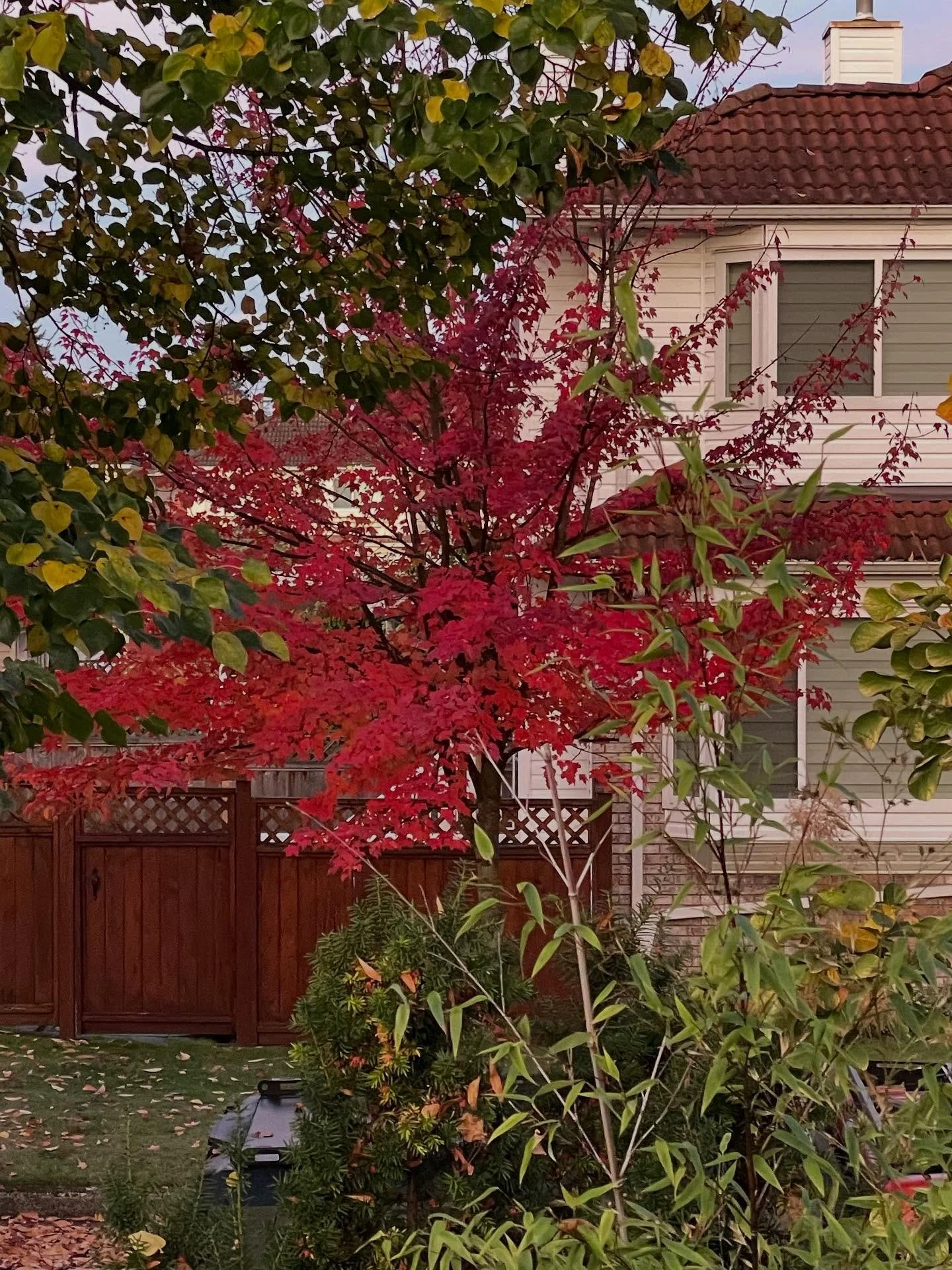 A simple good morning post. Some days can be tough, but if you slow down, walk outside and look for it you will find beauty all around&hellip;but you&rsquo;ve got to make the effort first to get the reward