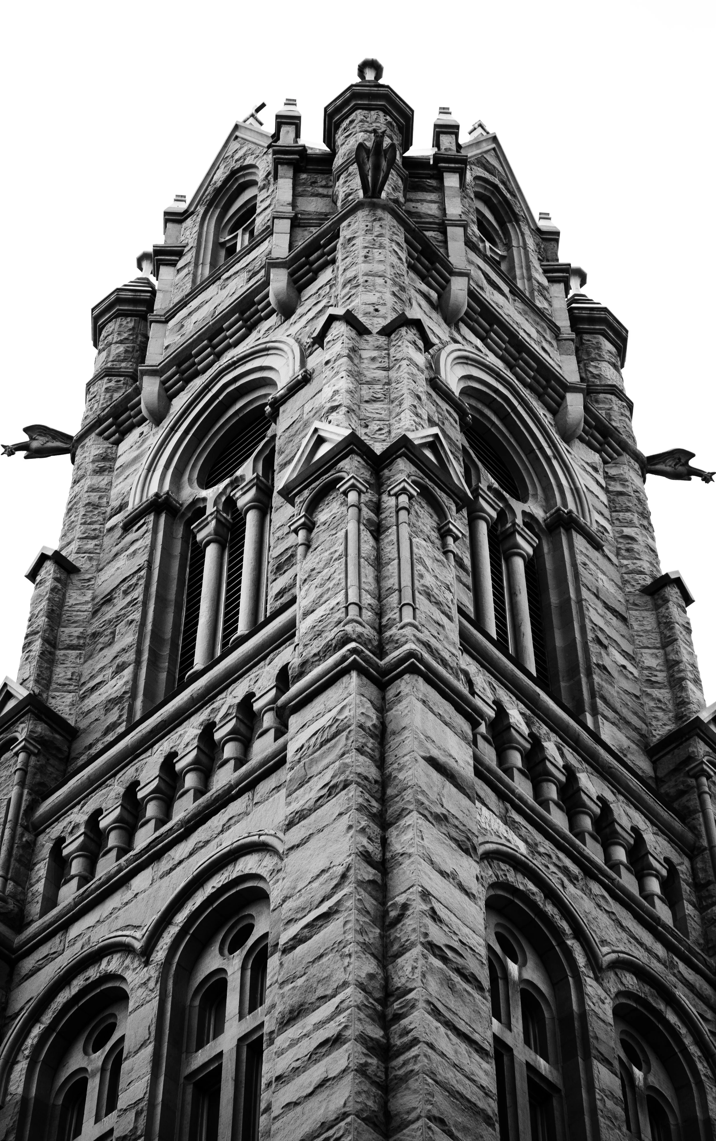 _1033447.jpg