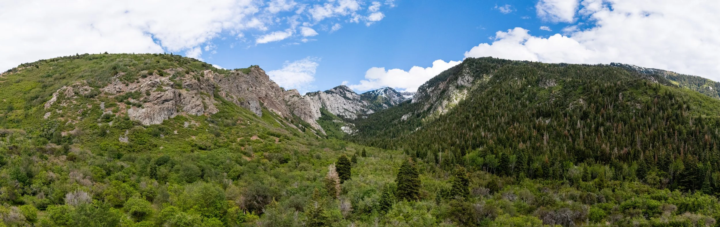 DJI_20260530182942_0066_D-Pano.jpg