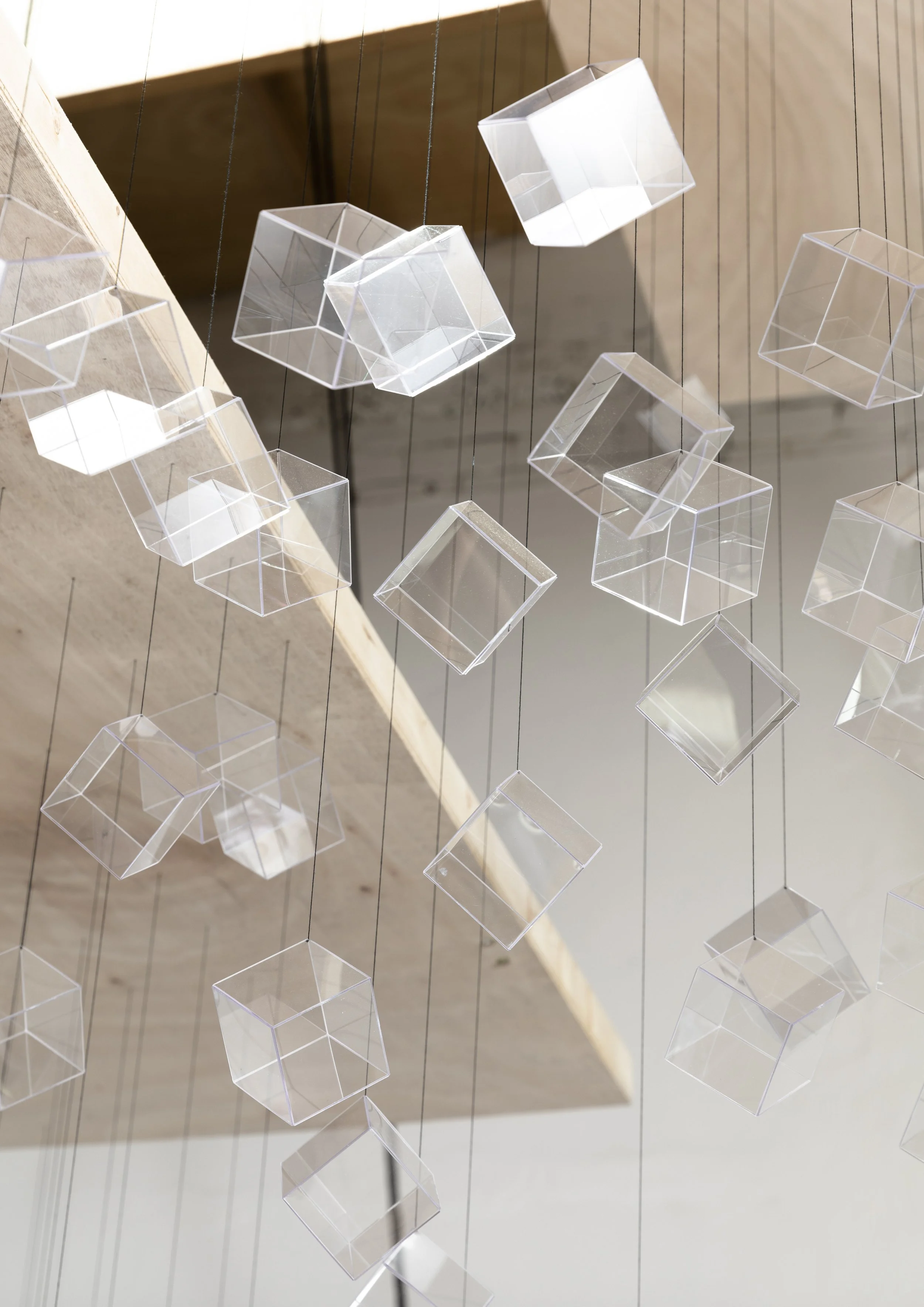 220128_NEILL_In This Shirt (Murmuration)_005.JPG