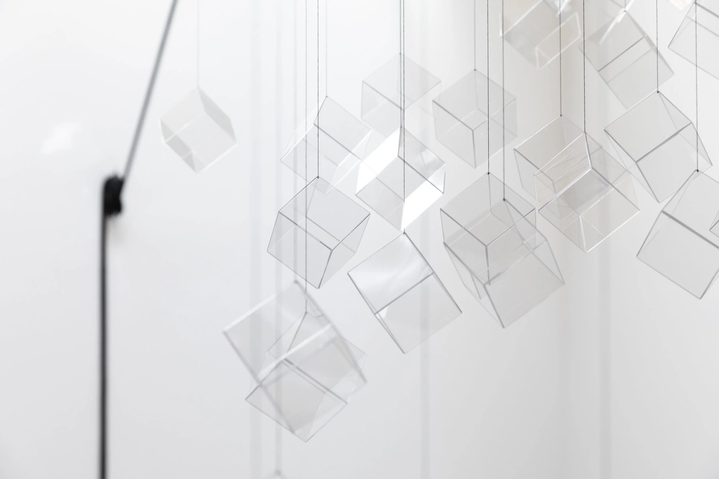 220128_NEILL_In This Shirt (Murmuration)_015.JPG