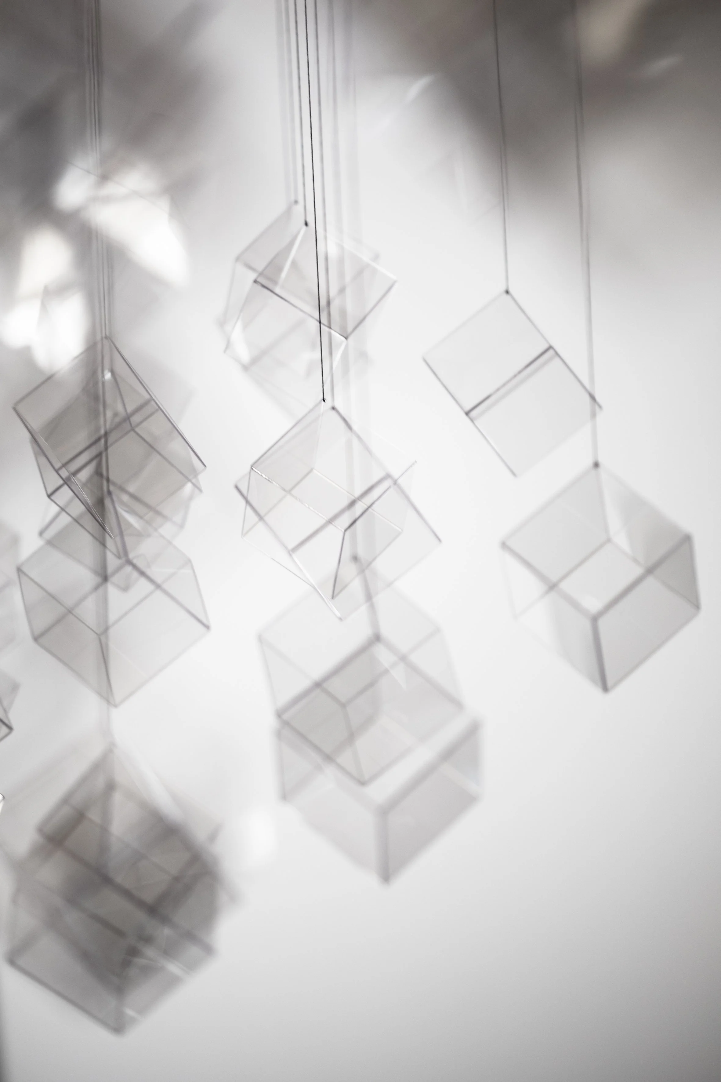 220128_NEILL_In This Shirt (Murmuration)_017.JPG