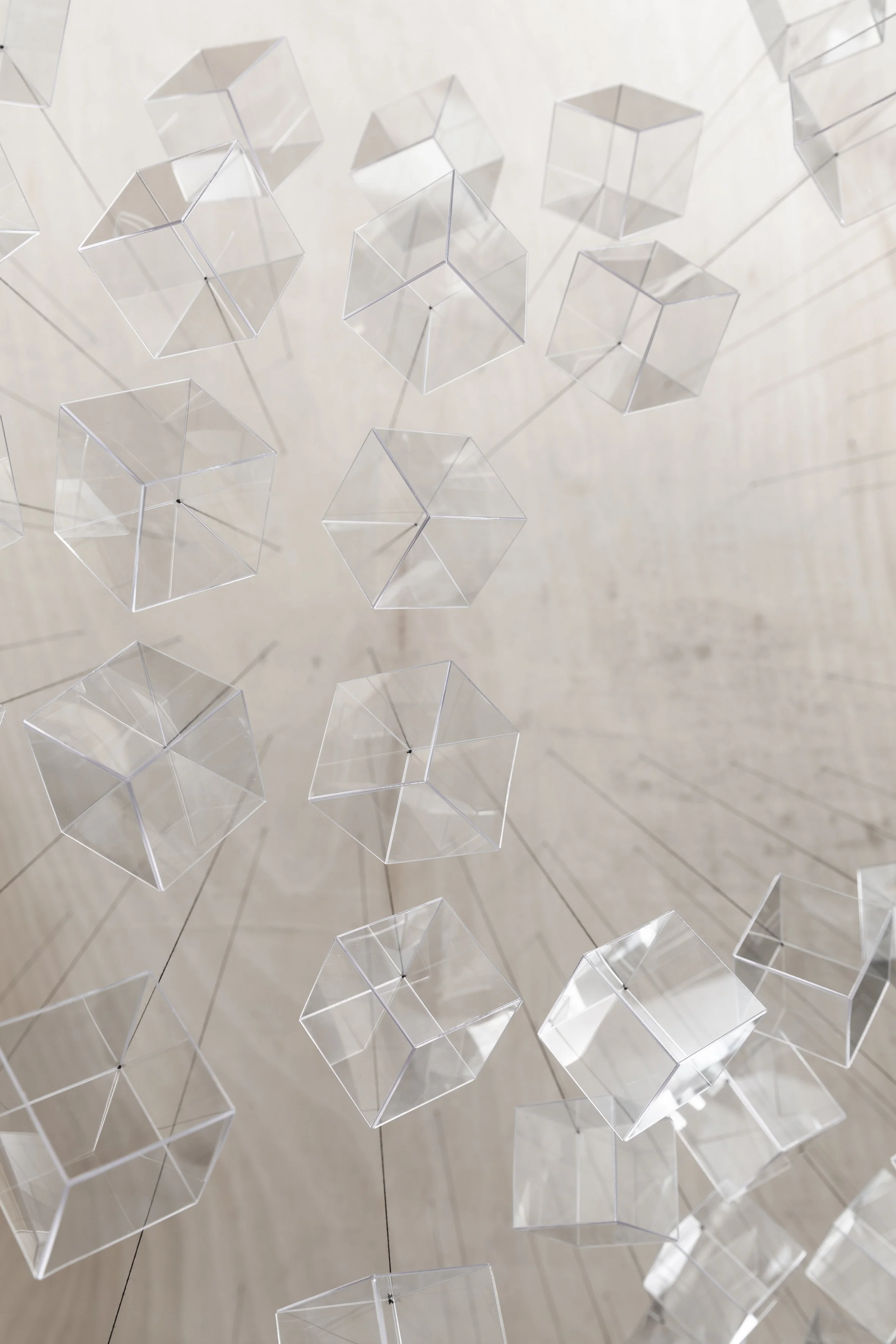 220128_NEILL_In This Shirt (Murmuration)_007.JPG