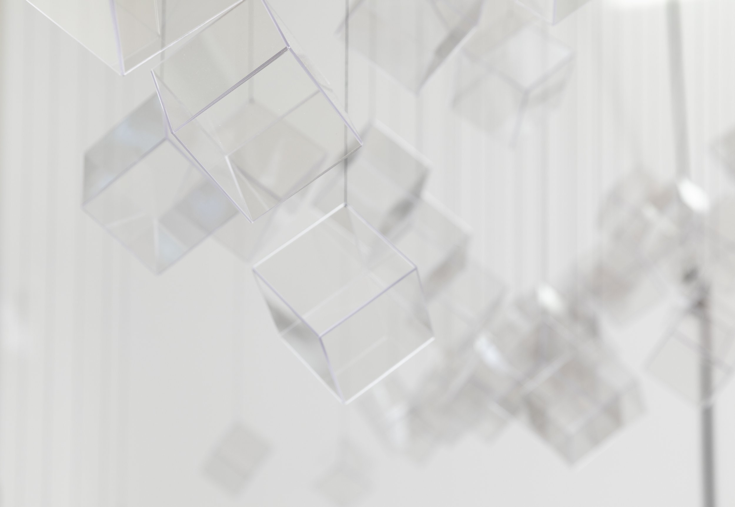 220128_NEILL_In This Shirt (Murmuration)_003.JPG