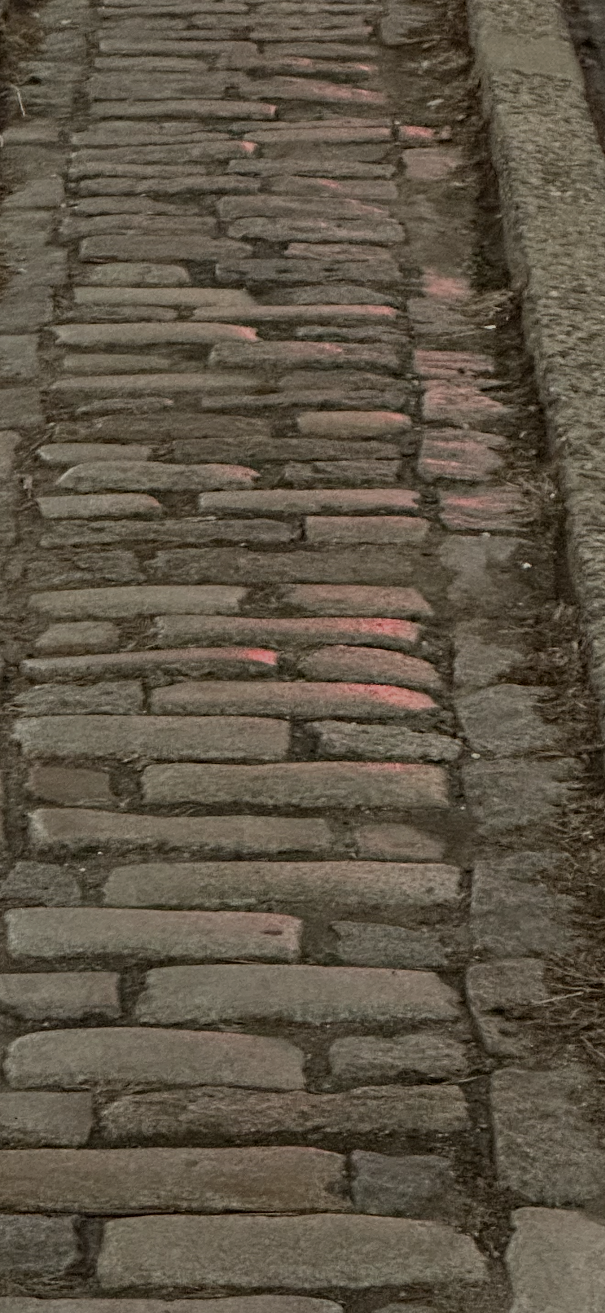 IMG_3601.PNG