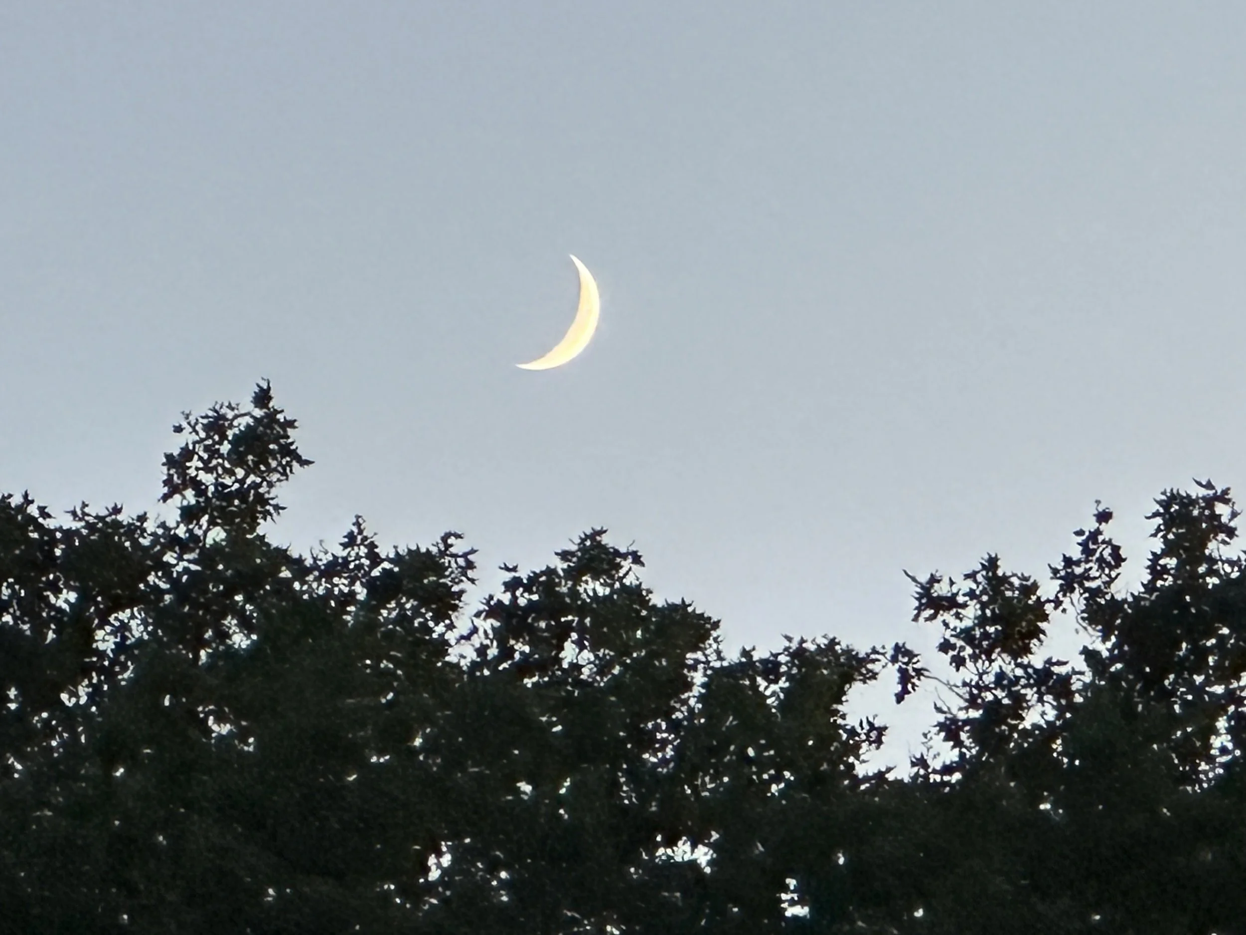 IMG_5358.jpeg