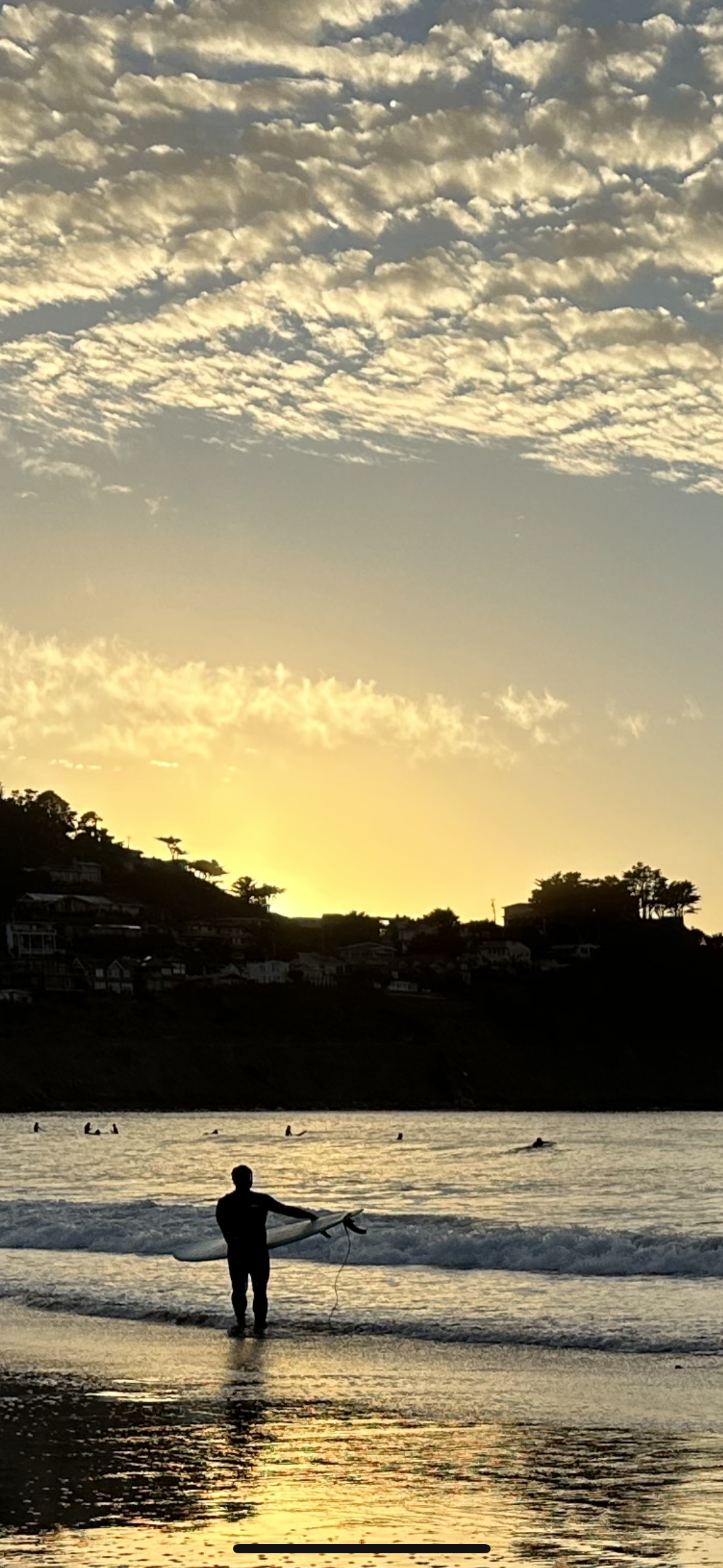 IMG_5955.PNG