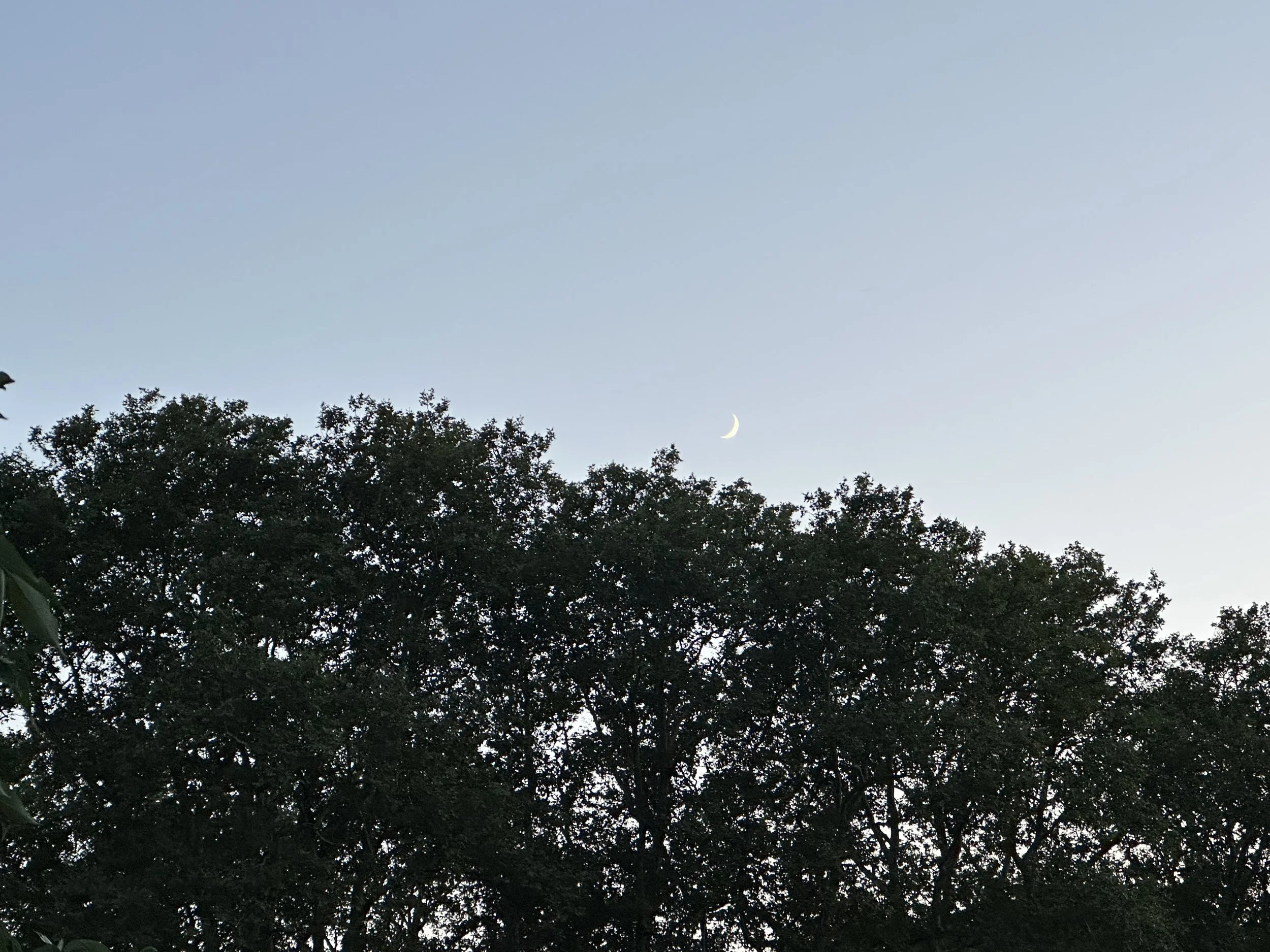IMG_5353.jpeg