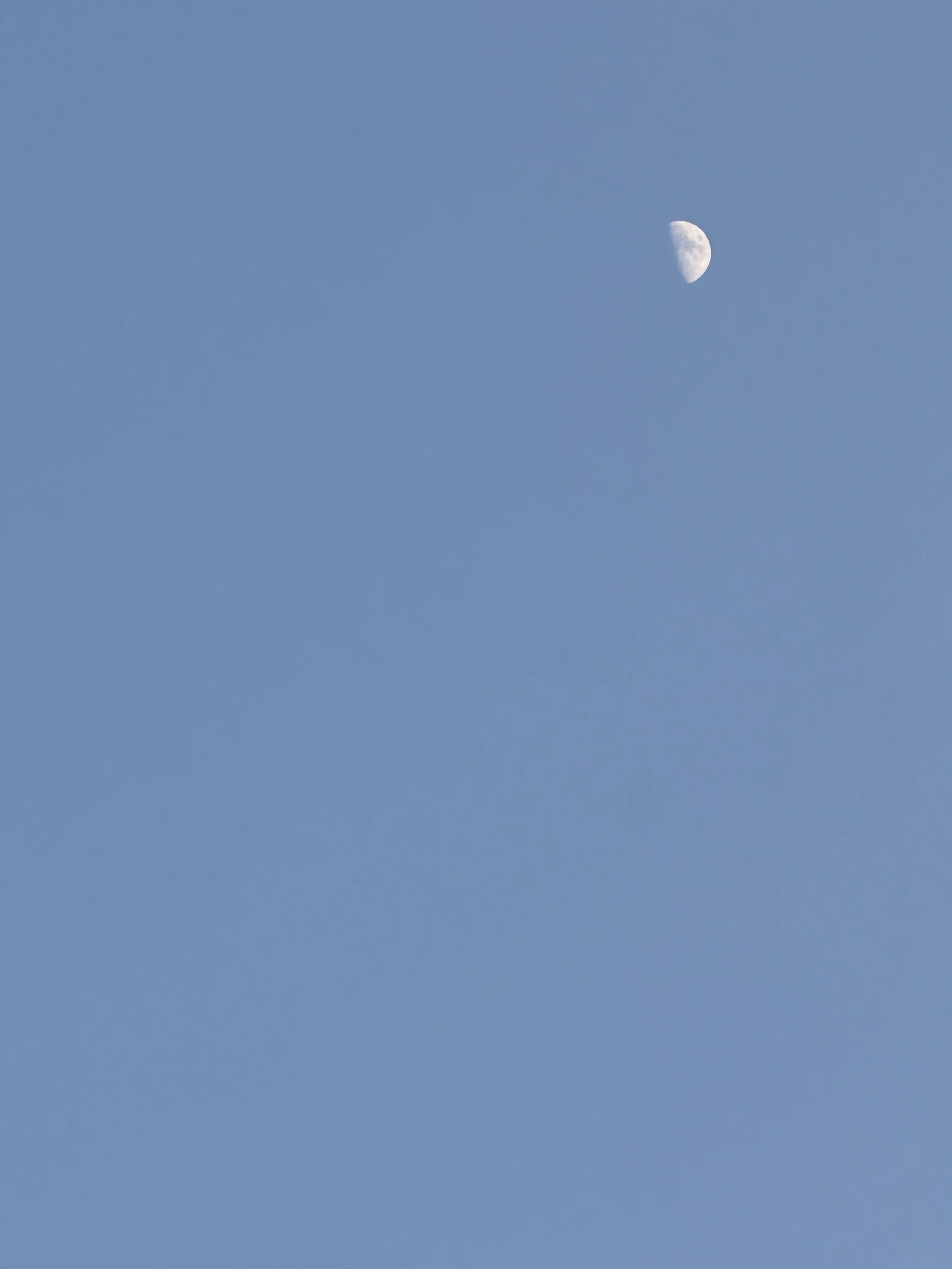 IMG_4663.jpeg