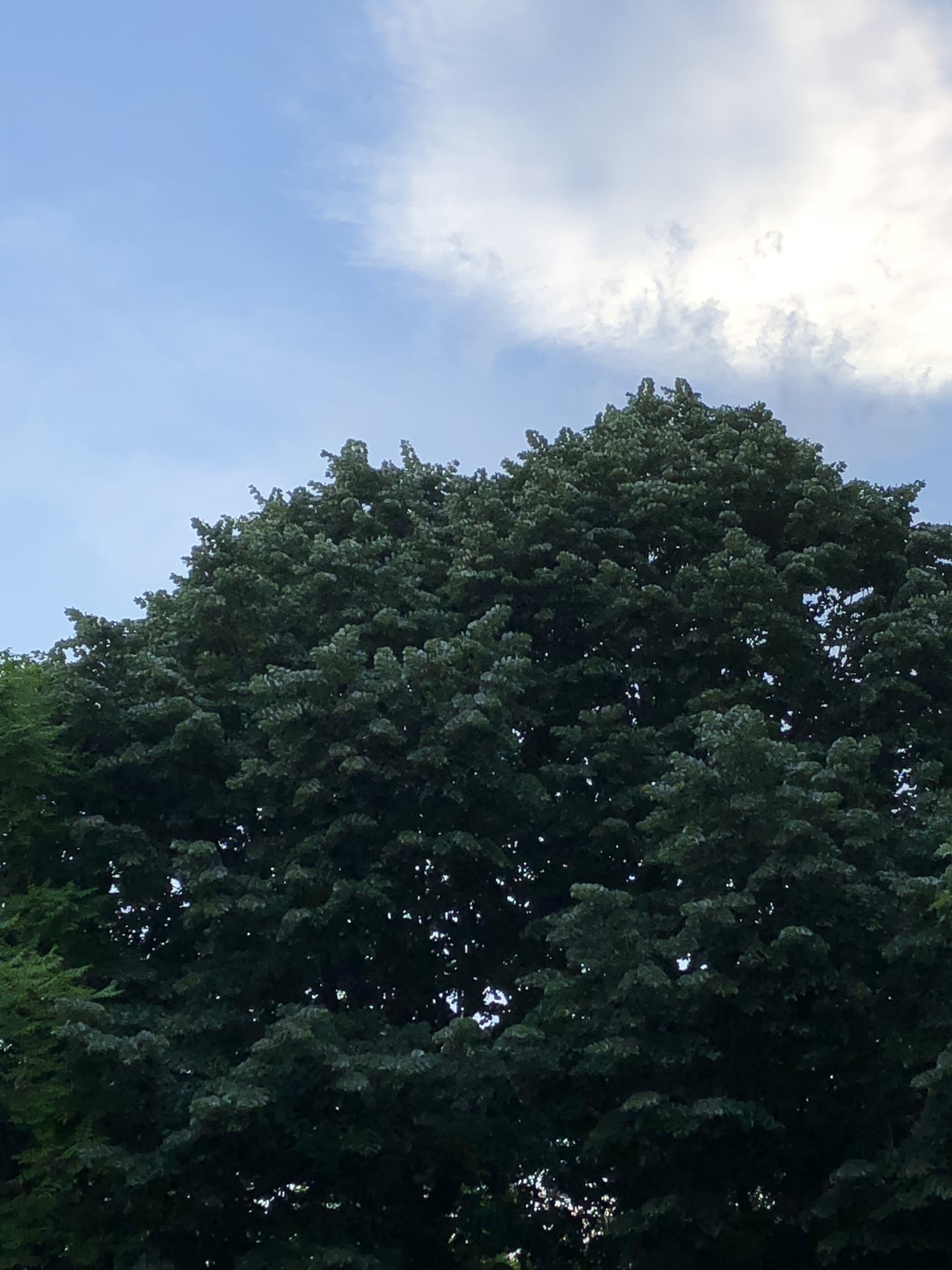 18.05.26