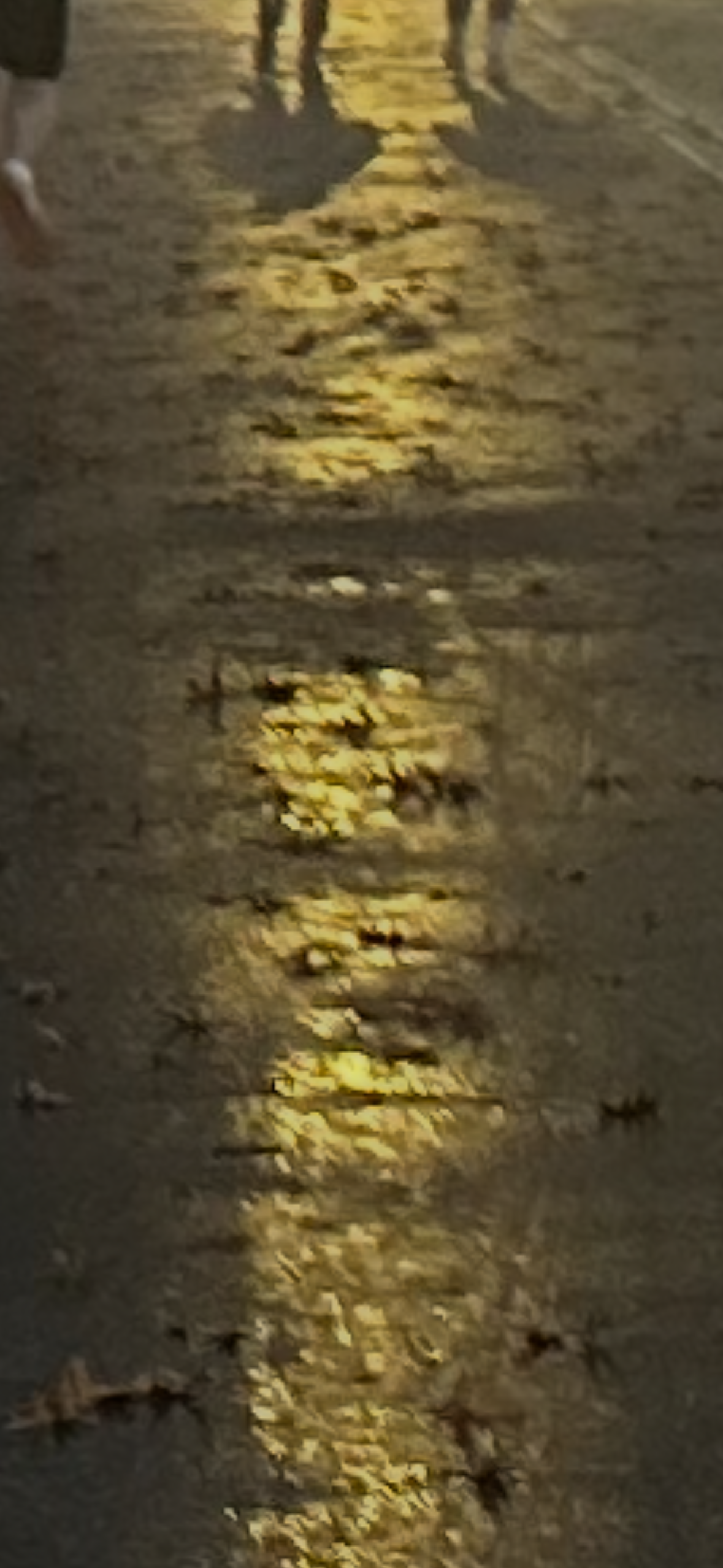 IMG_3192.PNG