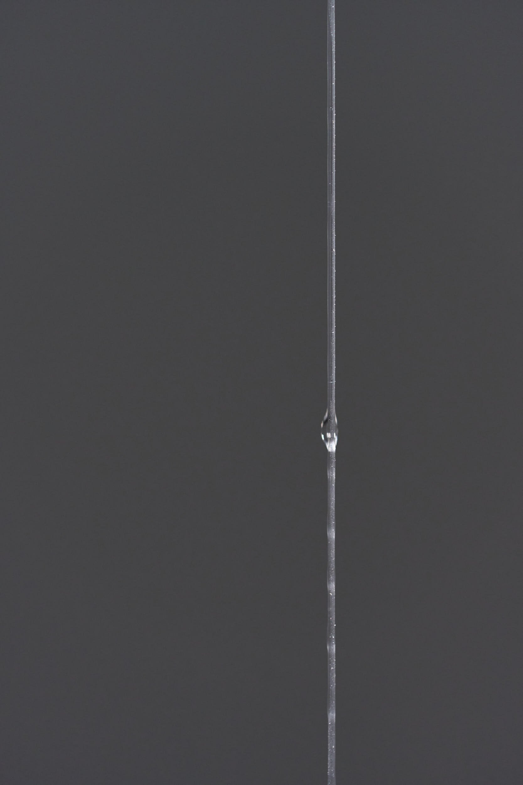 A droplet shines in the light as it runs down a long strand of translucent mucus.