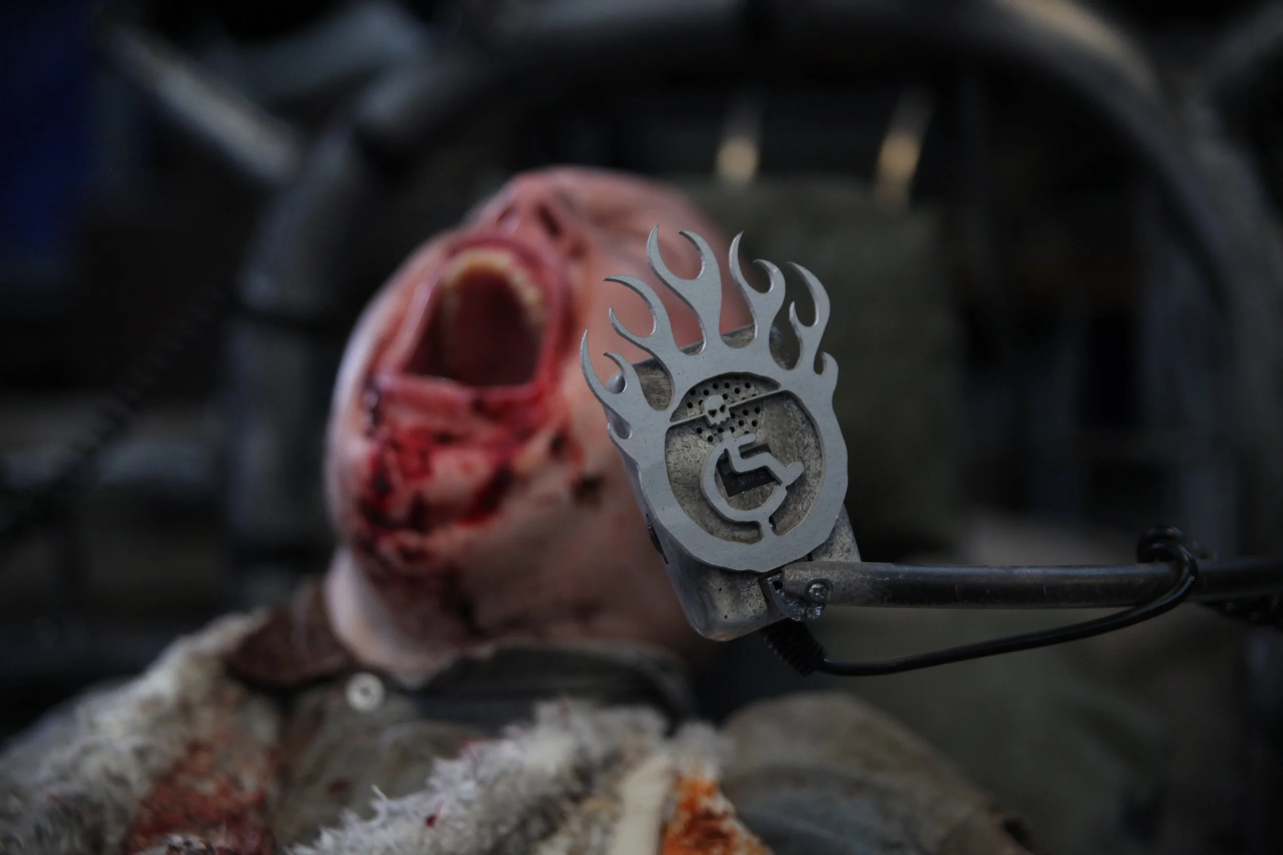 I'm blurred in the background, with the focus on the microphone. My head is thrown back in a scream, as if I had lost everything.