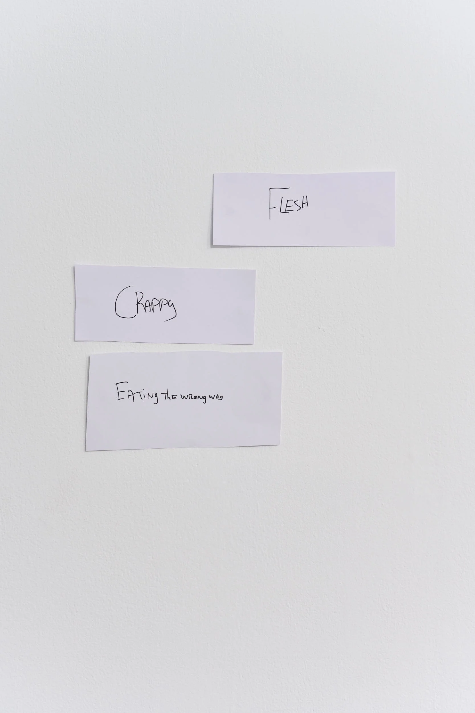 Rectangular pieces of paper attached to the wall, reading, “FLESH,” “CRAPPY,” “EATING THE WRONG WAY,”
