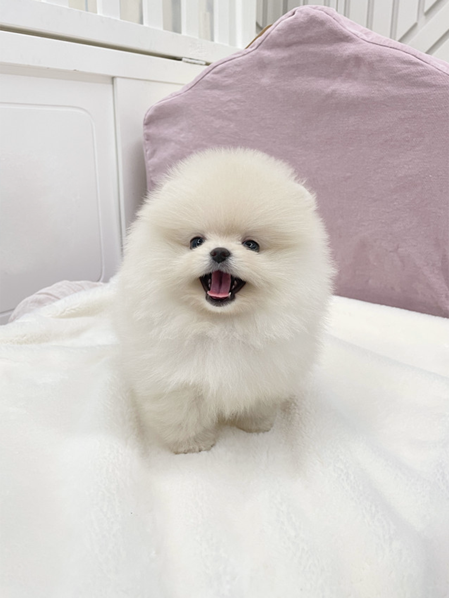 截屏2026-02-12 下午10.45.21.png