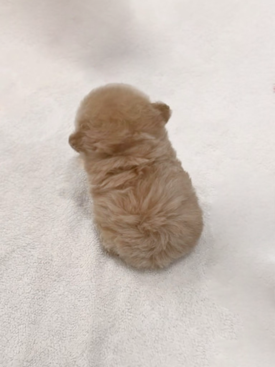 截屏2026-02-12 下午11.27.50.png