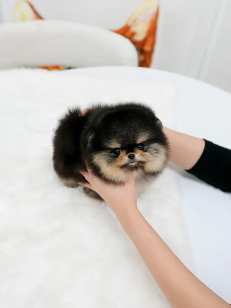 截屏2026-02-11 上午1.28.49.png