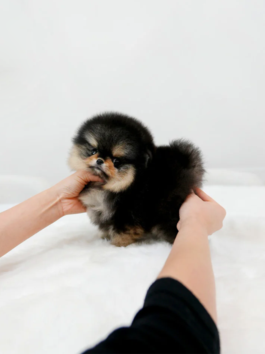 截屏2026-02-11 上午1.28.57.png