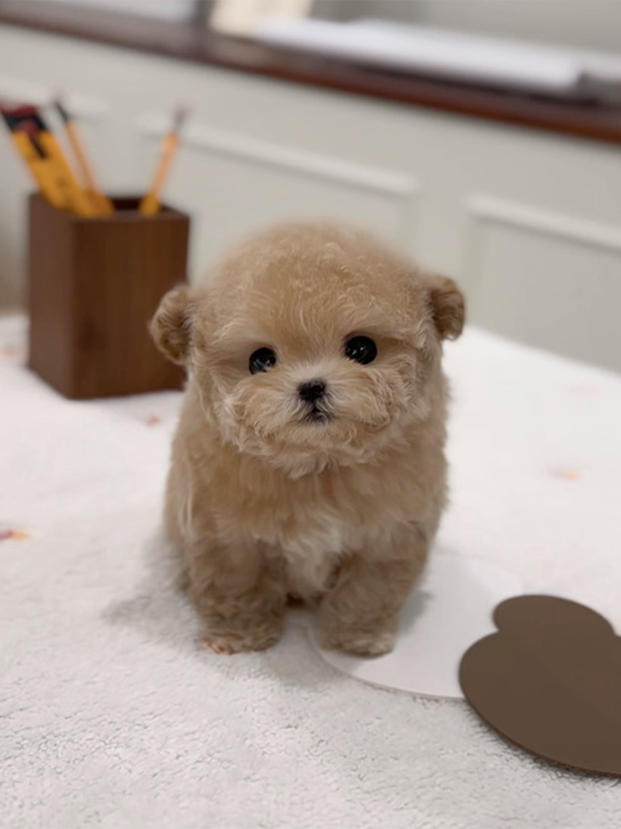 截屏2026-02-12 下午11.28.05.png