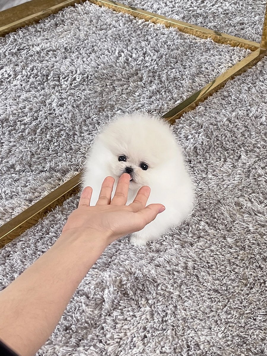 1d20115154064 copy.jpg