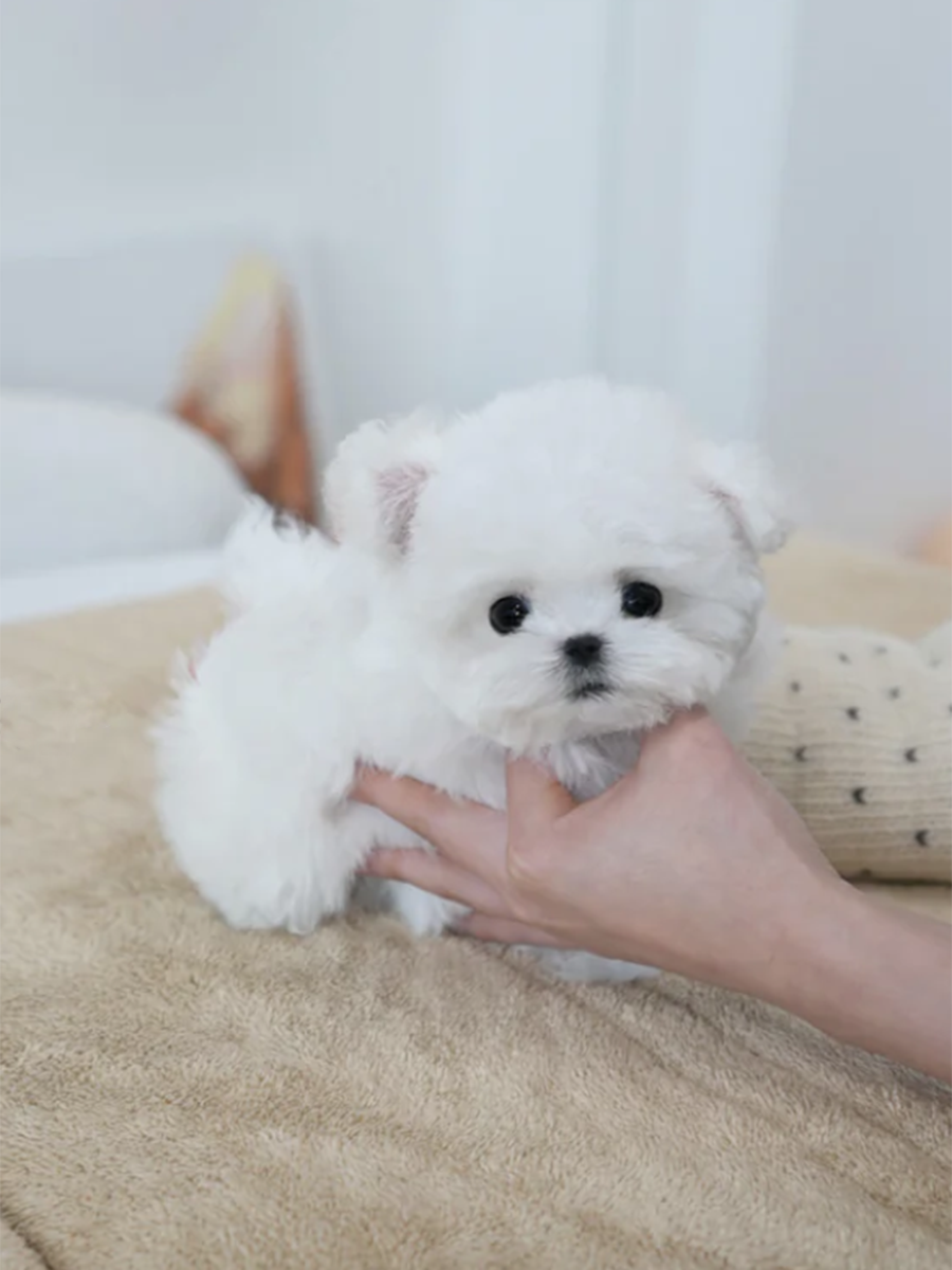 截屏2026-02-11 下午11.25.15.png