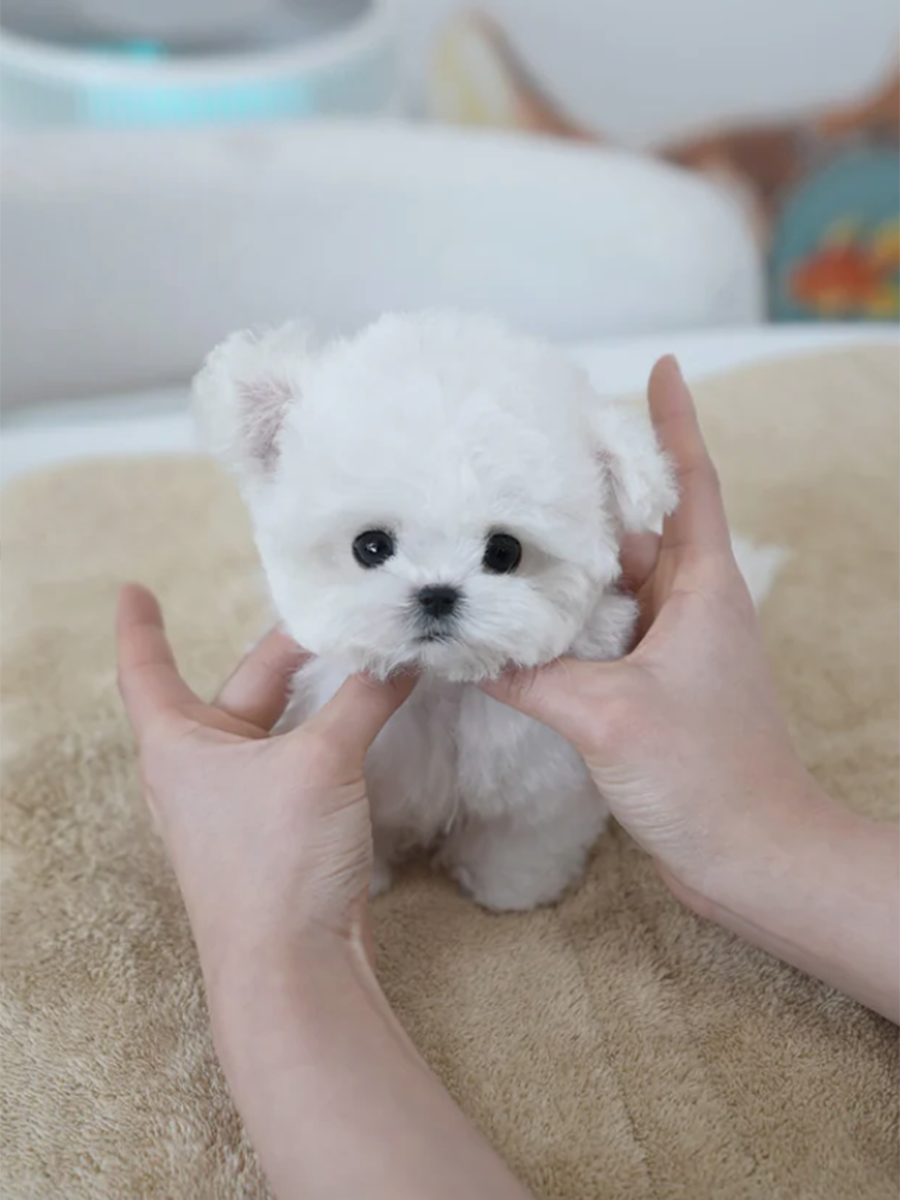 截屏2026-02-11 下午11.25.37.png