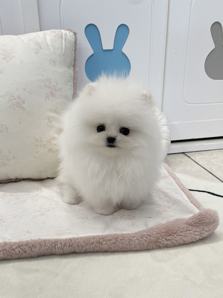 截屏2026-02-11 上午1.25.45.png