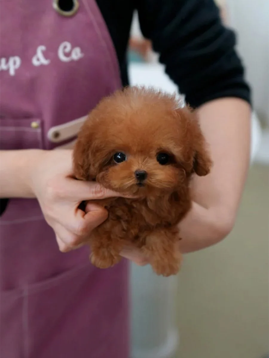 截屏2026-02-12 下午6.14.46.jpg