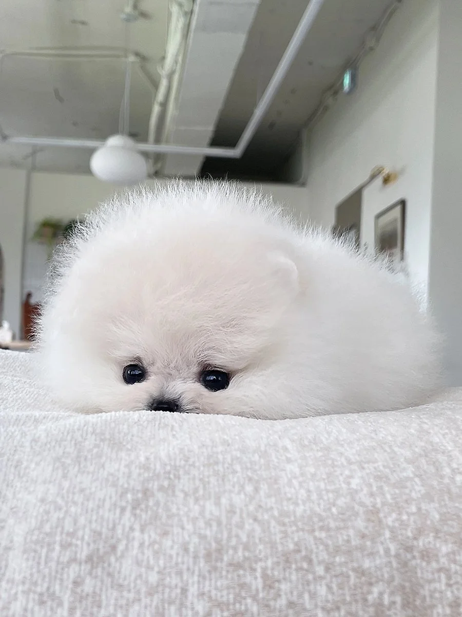 8a0853d415da0 copy.jpg