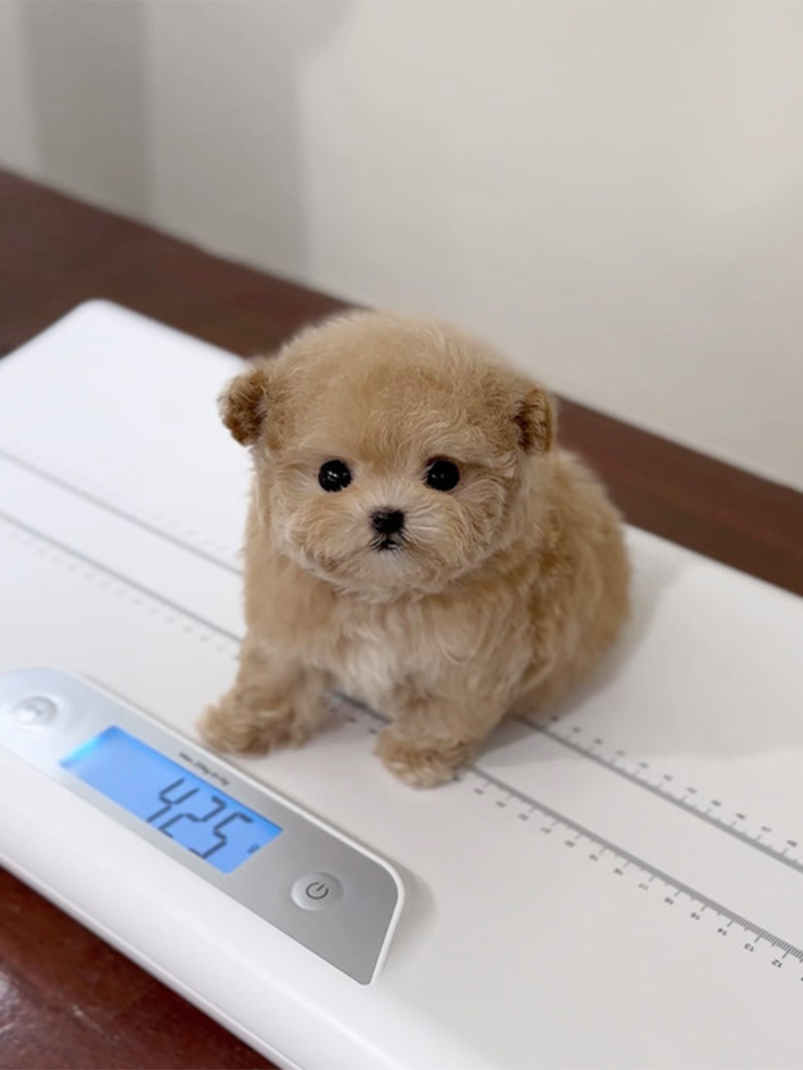 截屏2026-02-12 下午11.28.15.png