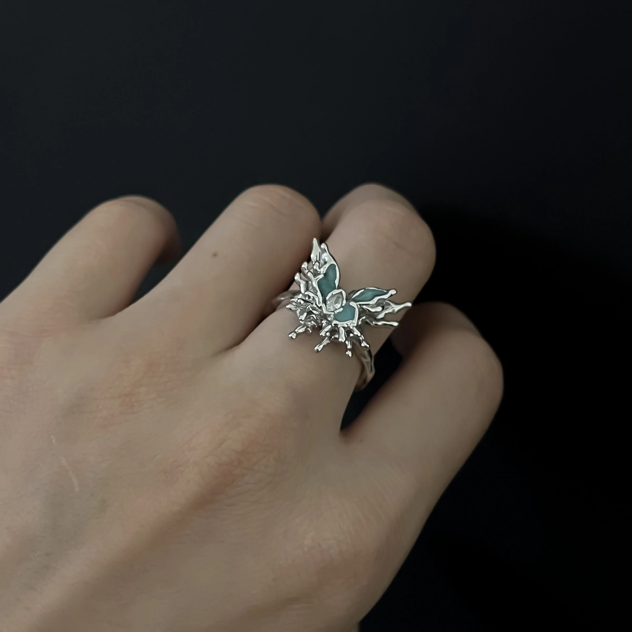JRS0068X002.JPG