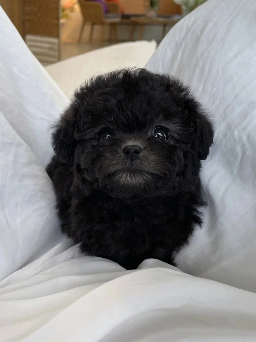 2d07acc789429 copy.jpg