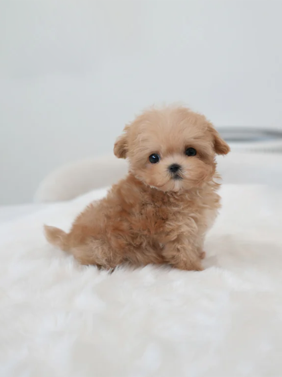 截屏2026-02-11 下午11.52.26.png