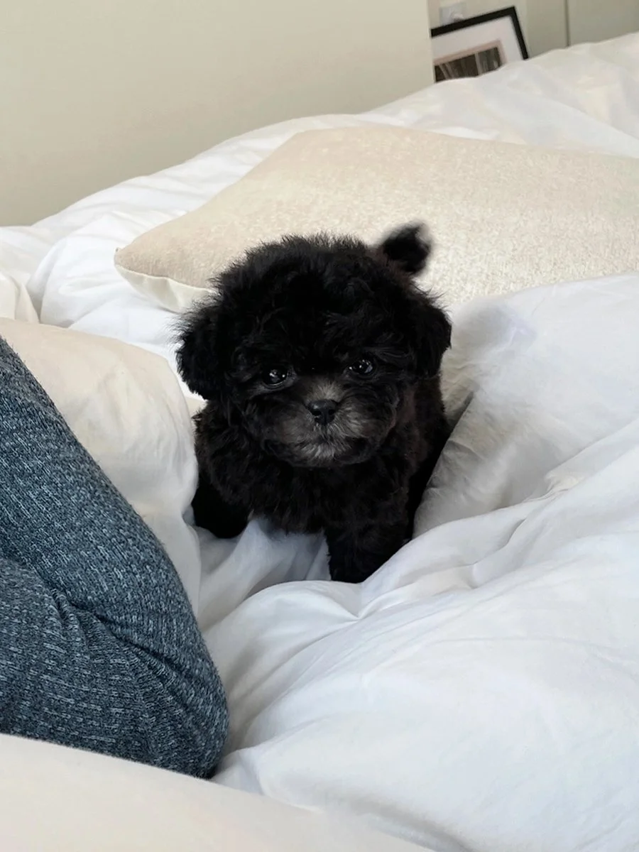 4b6164aeb07d7 copy.jpg