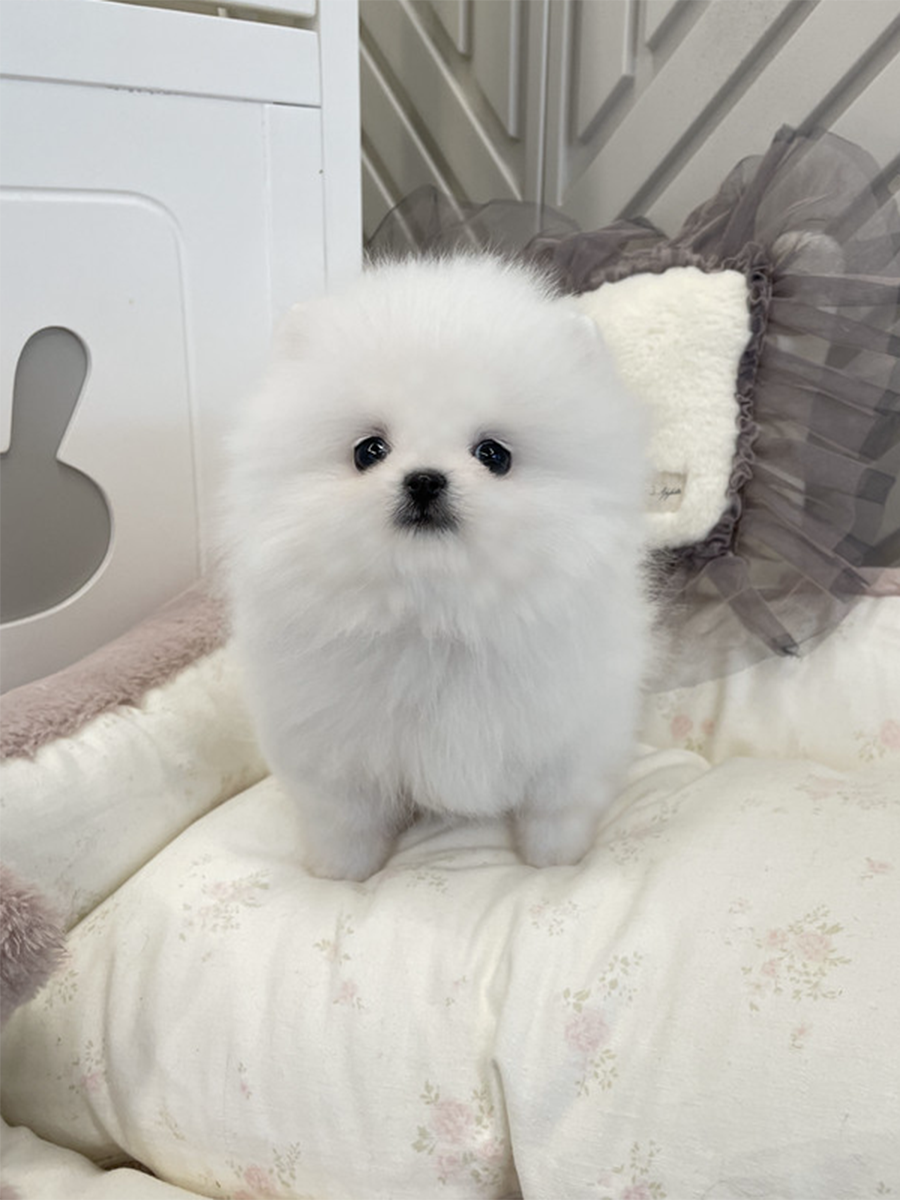 截屏2026-02-13 上午12.12.48.png