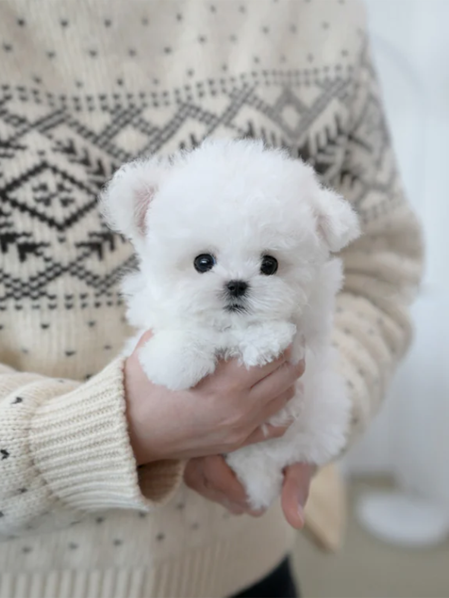 截屏2026-02-11 下午11.25.31.png