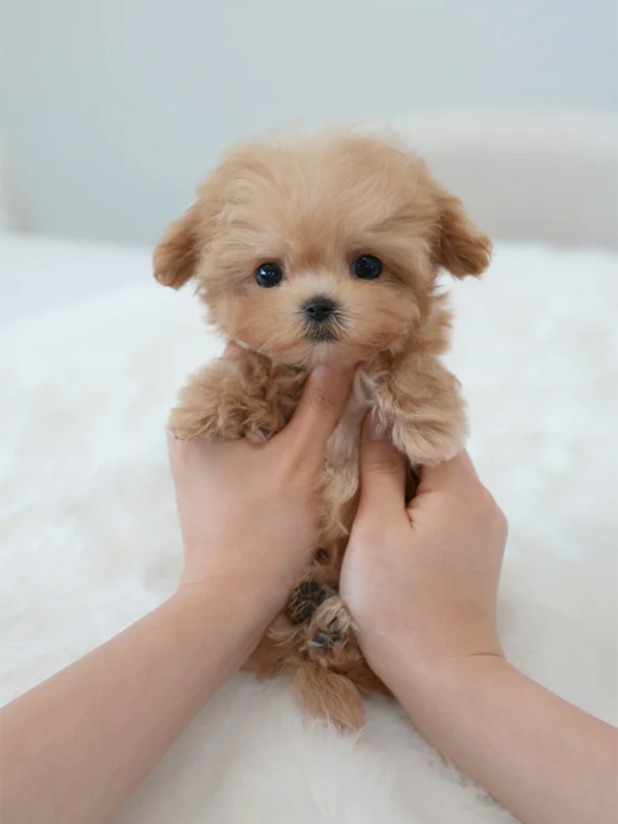 截屏2026-02-11 下午11.52.19.png