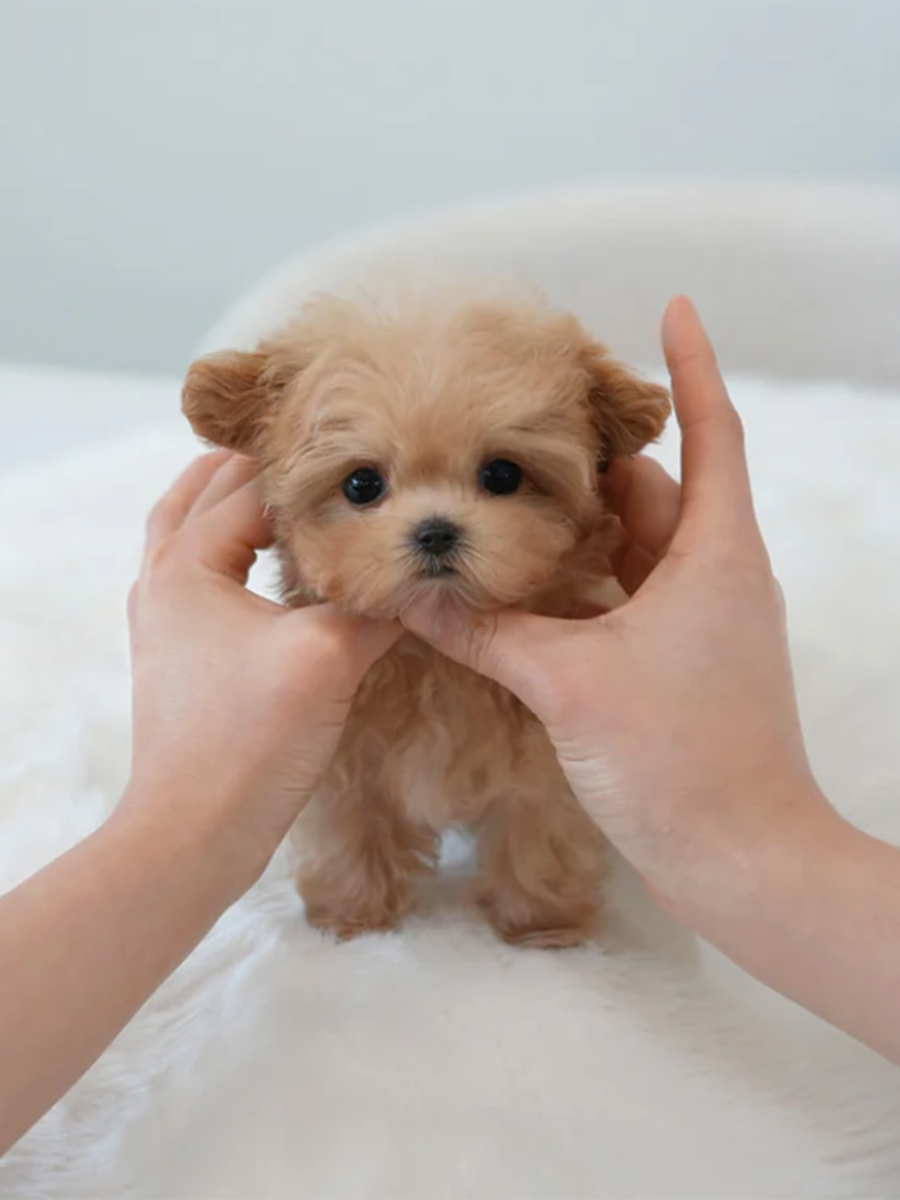 截屏2026-02-11 下午11.52.38.png