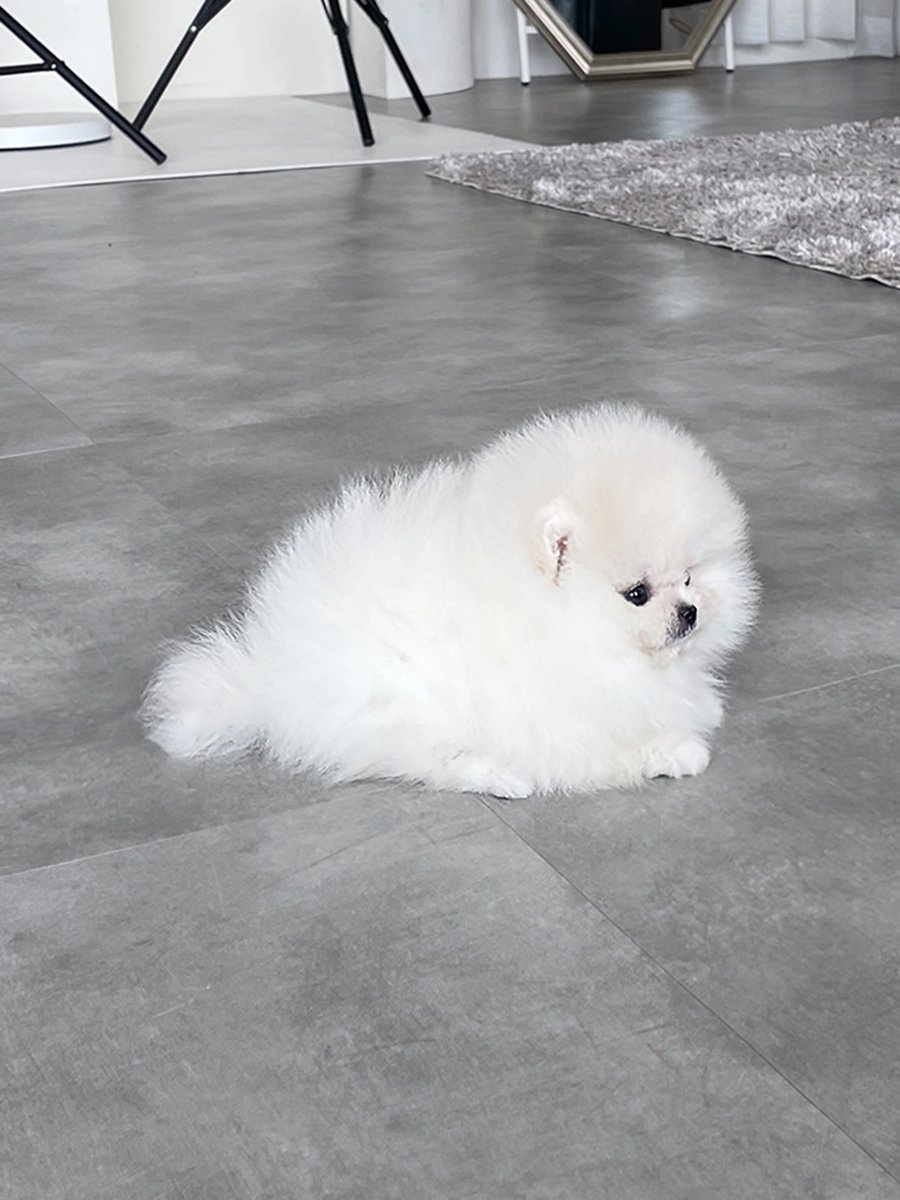 f5492eb0067fd copy.jpg