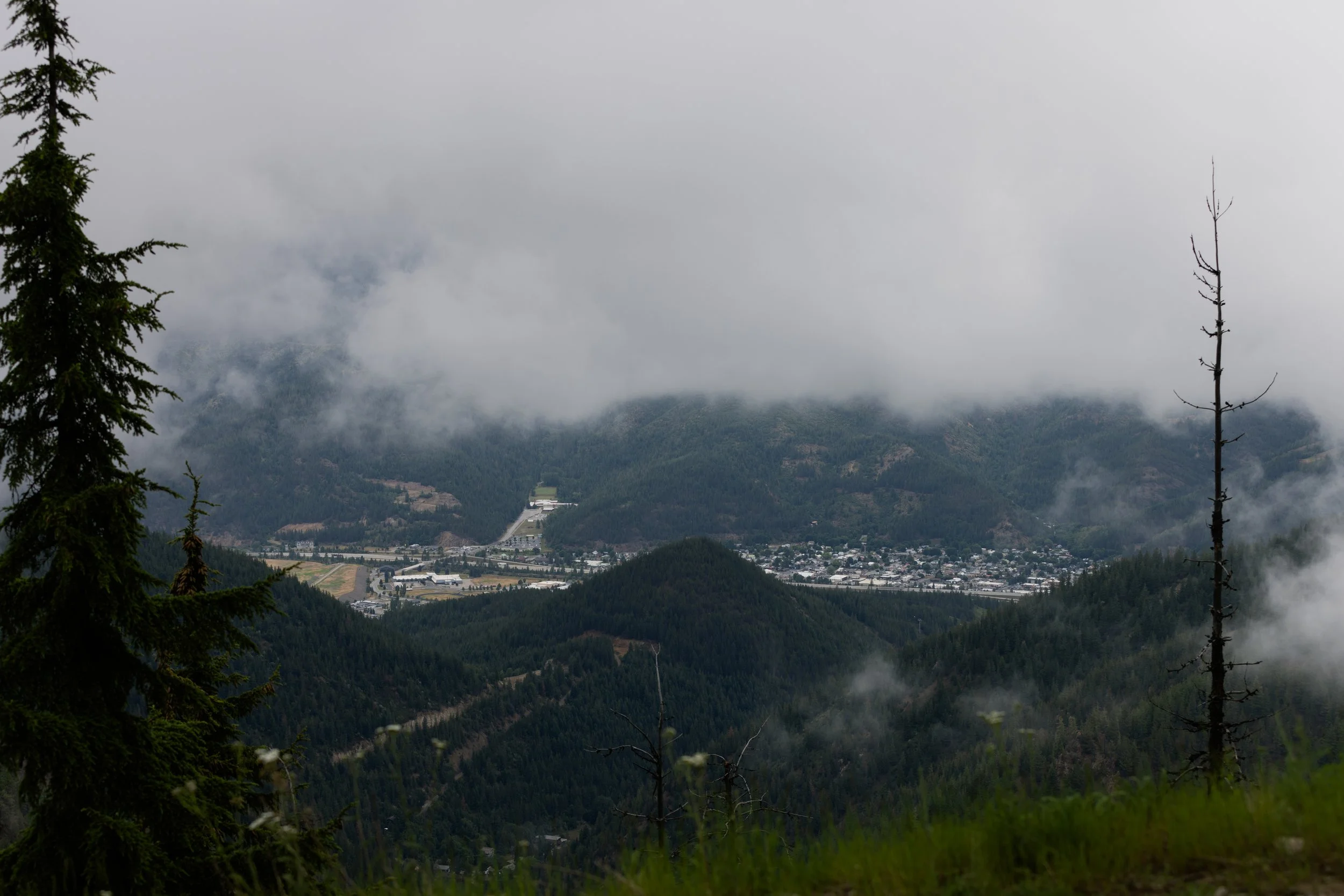 1F0A5263.jpg