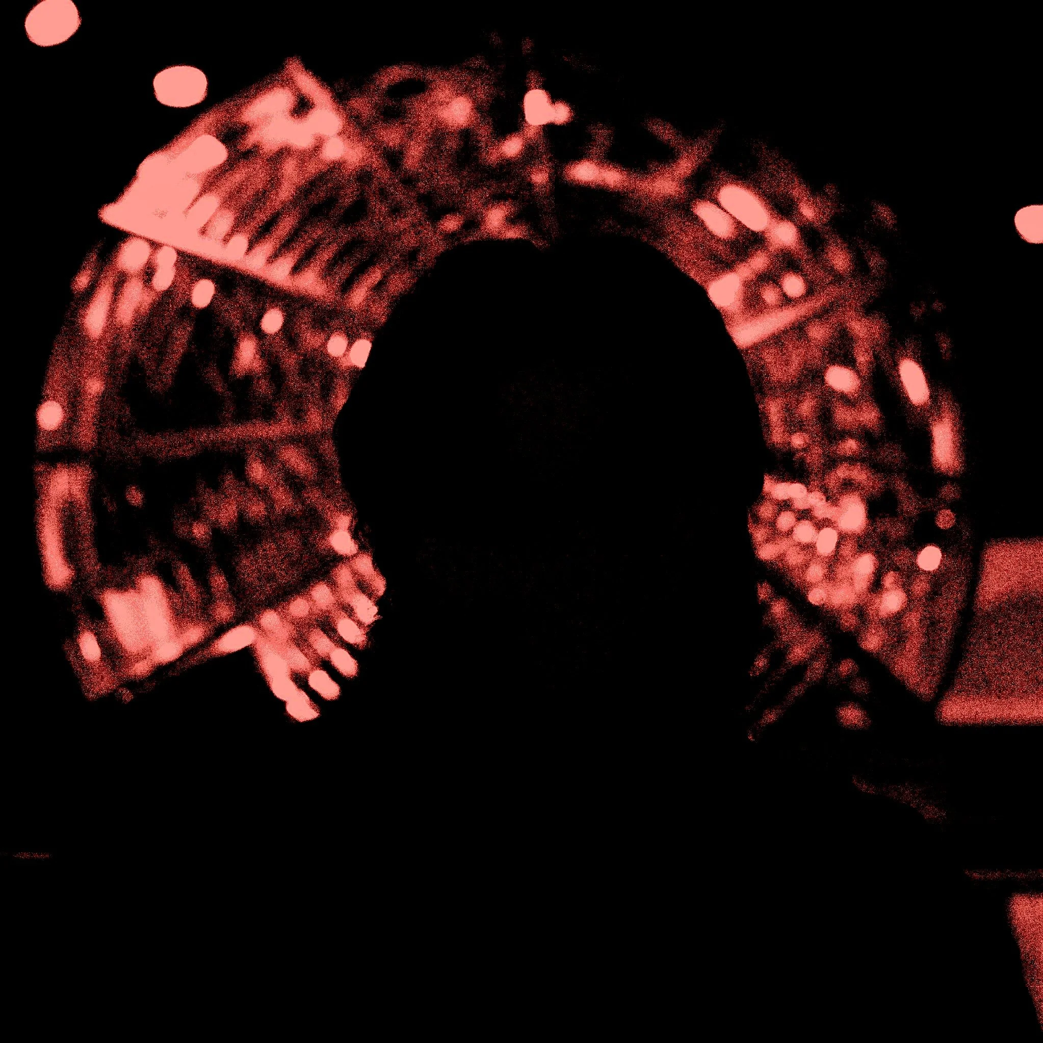 SRL6 Silhouette.jpg