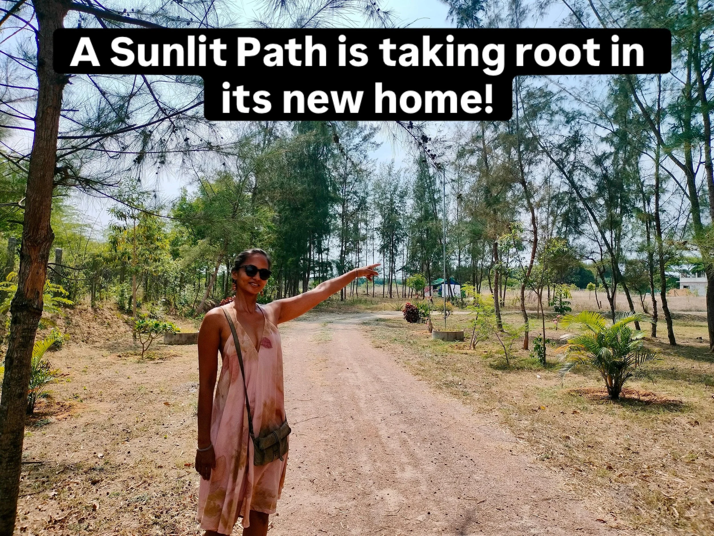 A Sunlit Path is starting to take root in its new home just outside Auroville. 

We are planting seeds, laying the road, planning the buildings and learning so much along the way. 

If you are a seeker looking to be a part of creating something meani