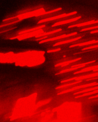 SRAM - E3 - 4GIF 02 (2).gif