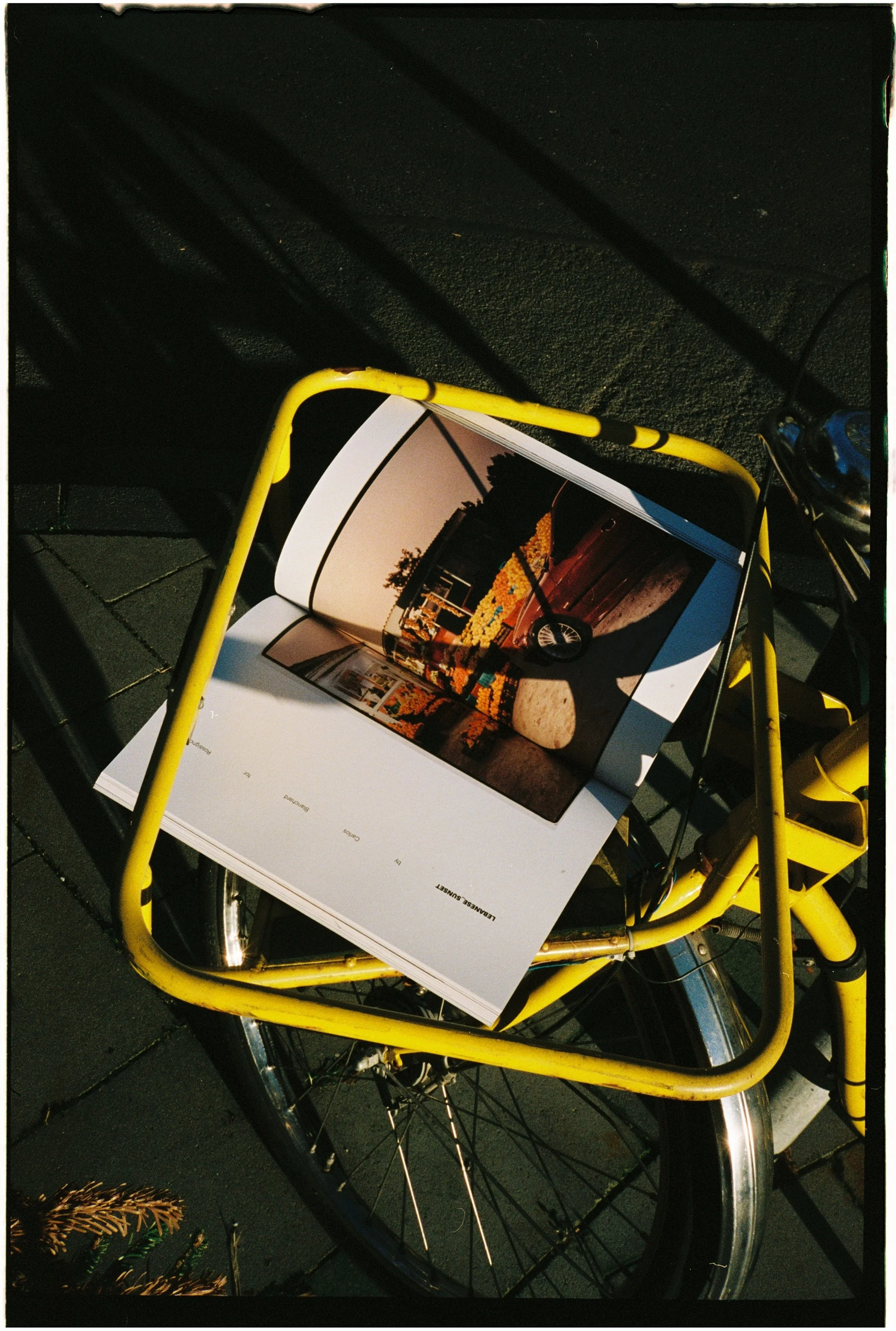 El Flamingo Selected Magazine Vol I