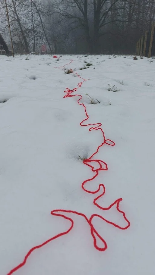 20250111_133914.jpg