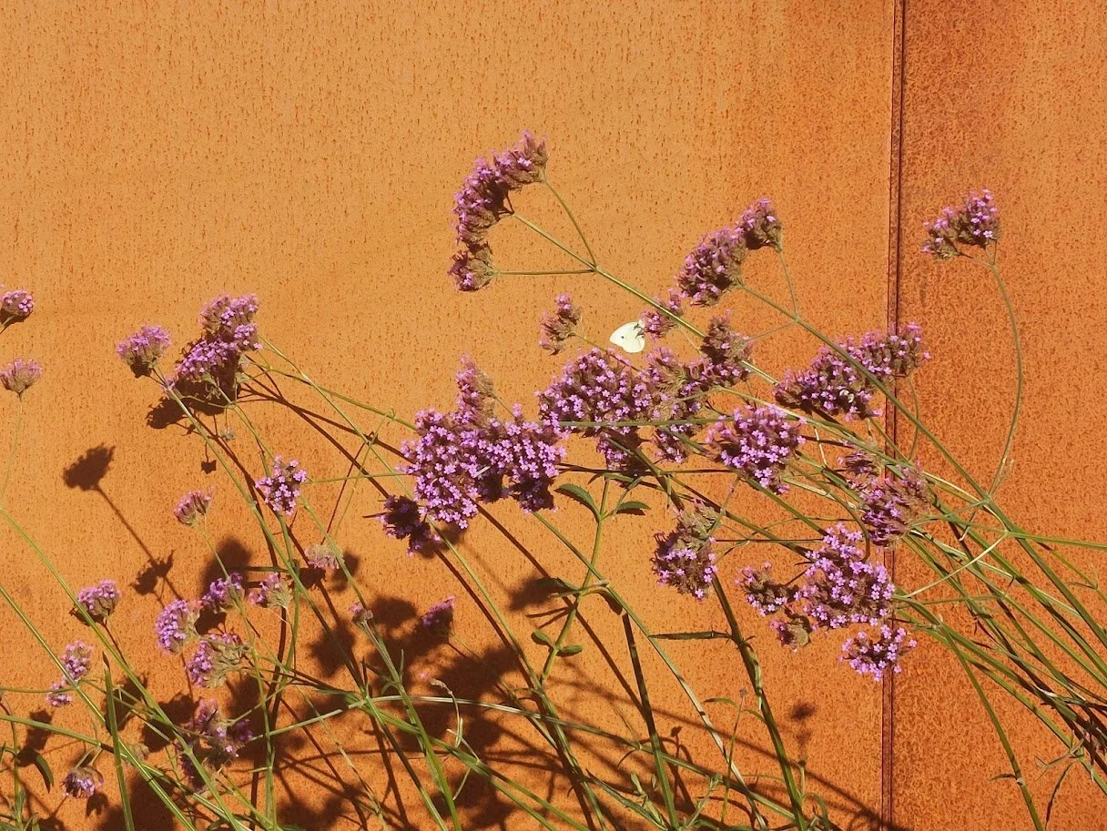 20240828_175854.jpg
